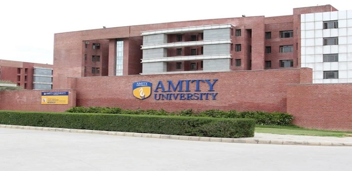 Amity Institute of Education